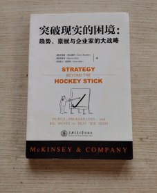 突破现实的困境:趋势、禀赋与企业家的大战略