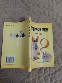 肉兔养殖问答