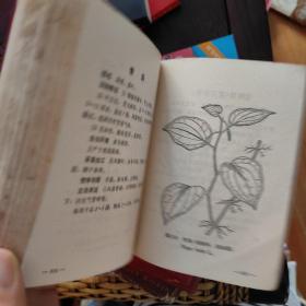 常用中草药手册 人民卫生