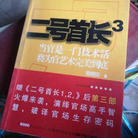 二号首长2：当官是一门技术活