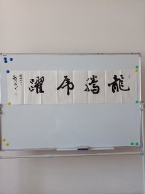 保真带合影——钱法成《龙腾虎跃》原浙江文化厅厅长 中书协会员 支持书法定制