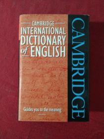 剑桥国际英语词典 Cambridge International Dictionary of English 精装 英文原版