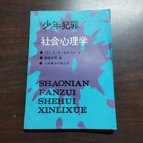 少年犯罪社会心理学