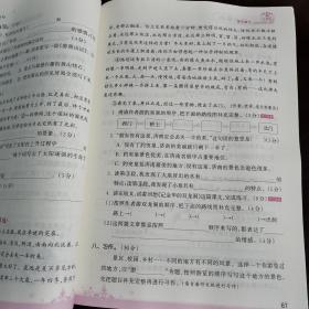 波波熊·创维新课堂同步优化训练：四年级语文下（RJ）