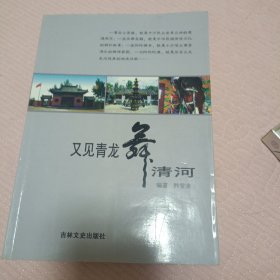 又见青龙舞清河