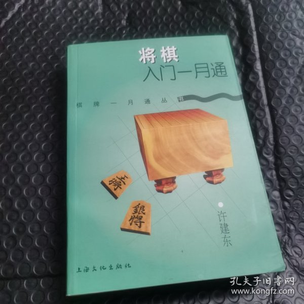 将棋入门一月通