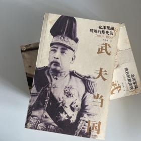 武夫当国：北洋军阀统治时期史话1895-1928(全5册)