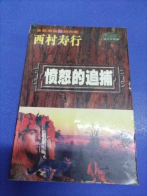 愤怒的追捕