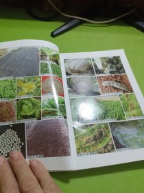 棚室蔬菜栽培图解丛书 图说棚室叶菜类蔬菜栽培关键技术 如图现货速发