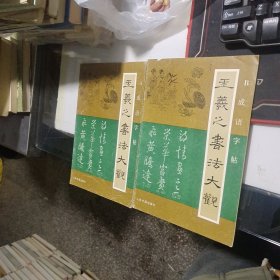 王羲之书法大观 A成语字帖，B成语字帖（2册合售）