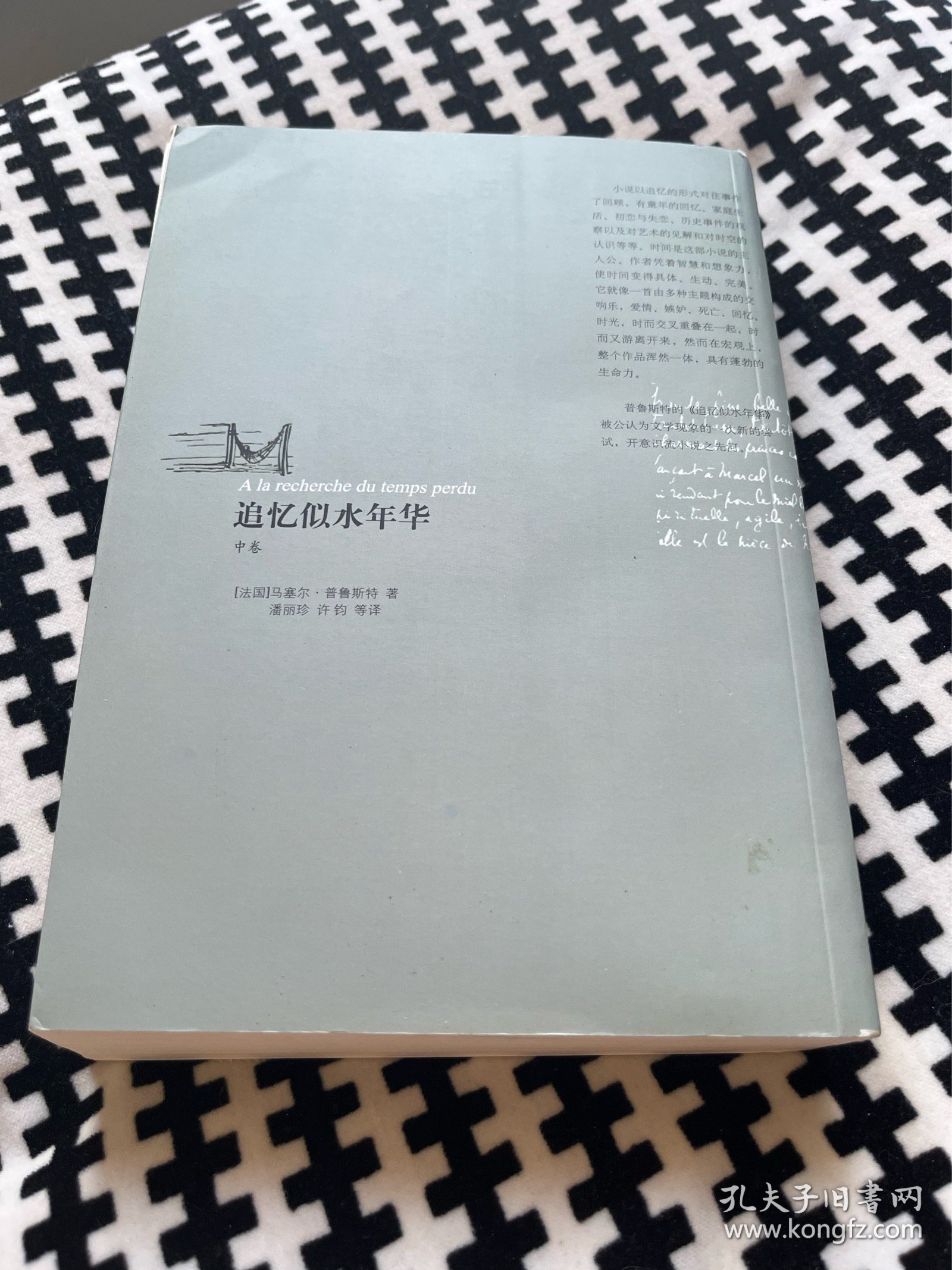 追忆似水年华 中卷