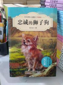 中外动物小说精品（升级版）：忠诚的狮子狗