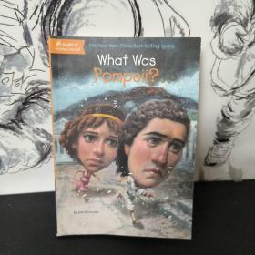 What Was Pompeii?