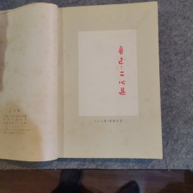 二心集