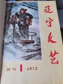 创刊号：全网唯一 《辽宁文艺》、后更名为《鸭绿江》 自1972年创刊号——1987 年，共16年全年刊  保存完好，品相佳，不接受单本售卖