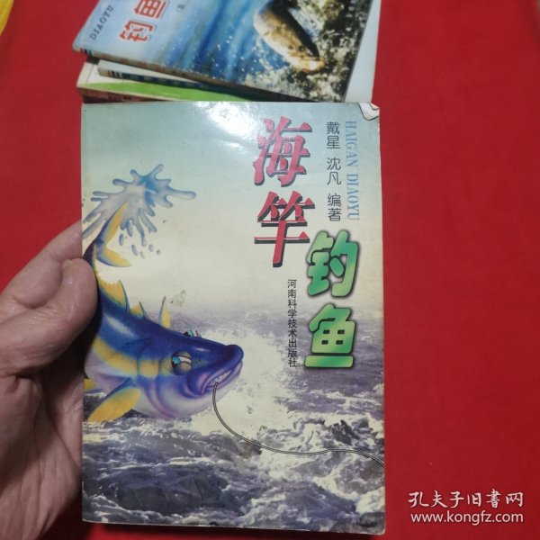 海竿钓鱼