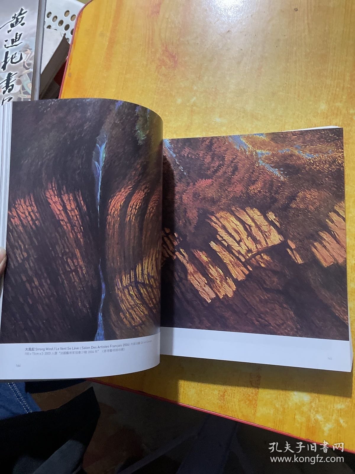 林鸣岗油画集（12开）