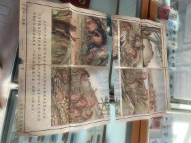 从猿到人挂图！河蚌生态图！1953年1962年4开尺寸教学挂图2张！上海新亚书店上海教学出版社出版！2张合售