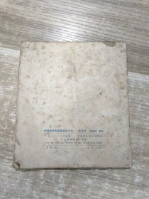 坚强勇敢的越南南方少年阮友充 24102564