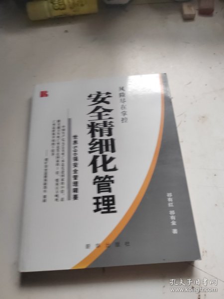 安全精细化管理:世界500强安全管理精要