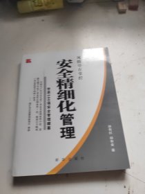 安全精细化管理:世界500强安全管理精要