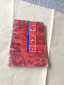 红色经典纪实文学《将军泪英雄血》上，请看内容介绍