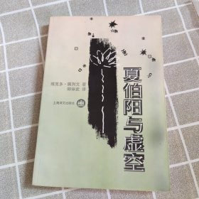 夏伯阳与虚空