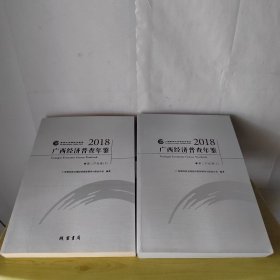 广西经济普查年鉴2018年第二产业卷上下册