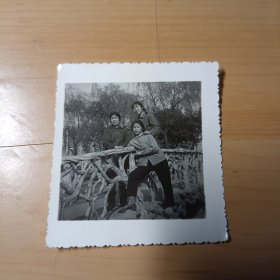 老照片–70年代母女三人在景区护栏处留影（中间女子坐在护栏上）