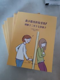 我不想再担惊受怕！：理解十二至十七岁孩子