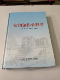 实用创伤骨科学