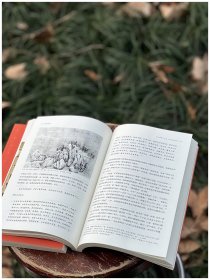 艺苑查疑补证散考（上下）汪世清著