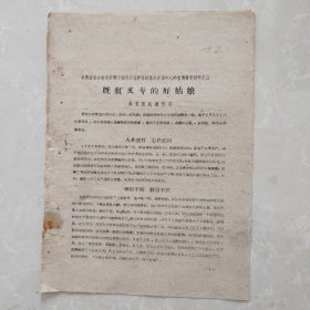沁县石台管理区宋玉秀事迹材料