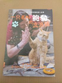 一只名叫鲍勃的流浪猫