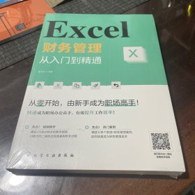 Excel财务管理：从入门到精通
