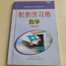 人教版九年级上册数学配套练习册