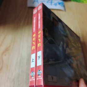 2光盘 冲天飞豹