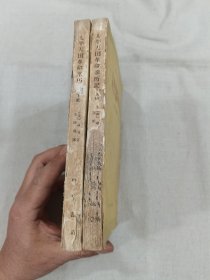 太平天国亲历记（上下）