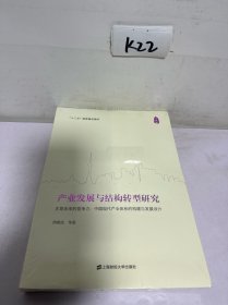 产业发展与结构转型研究：主导未来的竞争力：中国现代产业体系的构建与发展设计