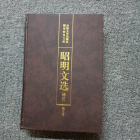 昭明文选译注（第五卷）精装