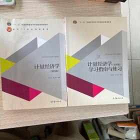 计量经济学  +    计量经济学(第四版)学习指南与练习潘文卿 李子奈（第4版）