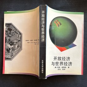 開(kāi)放經(jīng)濟(jì)與世界經(jīng)濟(jì)