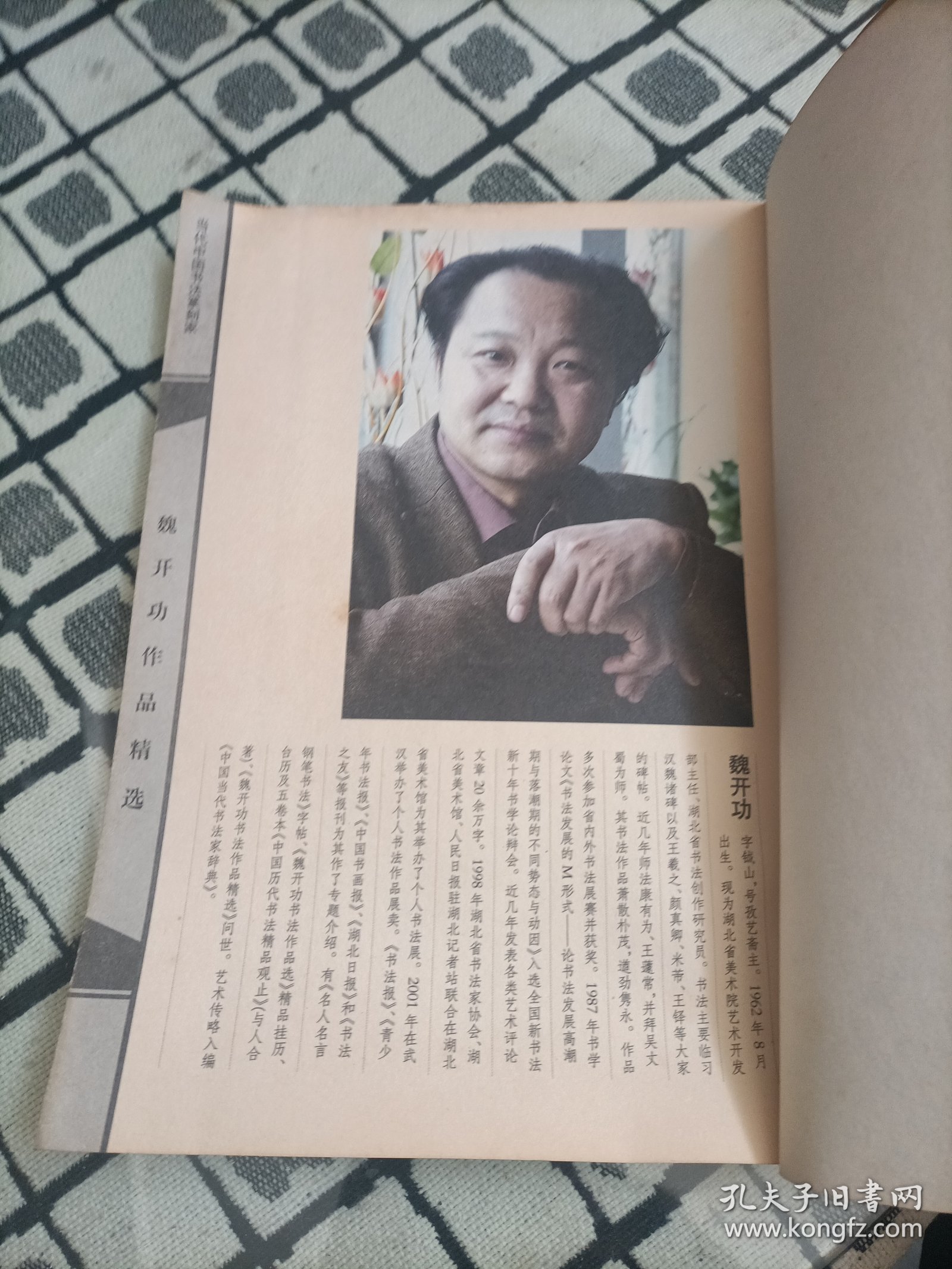 魏开功作品精选