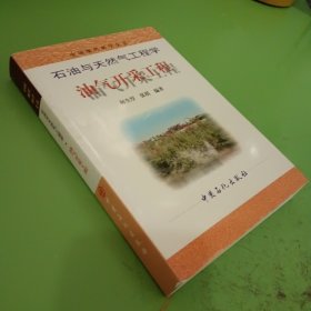 油气开采工程——中国现代科学全书石油与天然气工程学