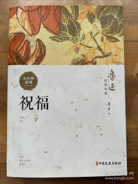 鲁迅经典全集（全10卷））