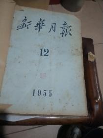 新华月报(1955-12)