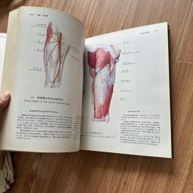 实用解剖图谱（四肢分册 下肢）