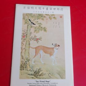 清 郎世宁 画十骏犬明信片（国立故宫博物院印行 全套十张）包正版 现货