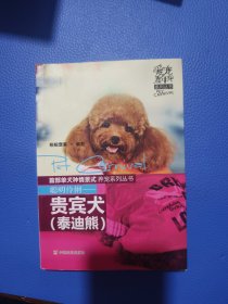 爱宠嘉年华系列丛书：聪明伶俐·贵宾犬（泰迪熊）