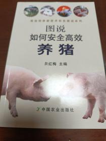 图说如何安全高效养猪